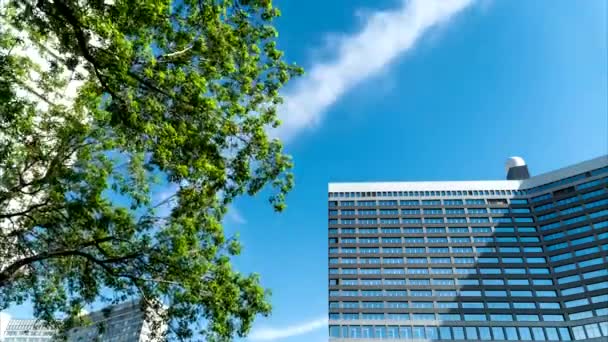 O céu sobre os edifícios da cidade — Vídeo de Stock