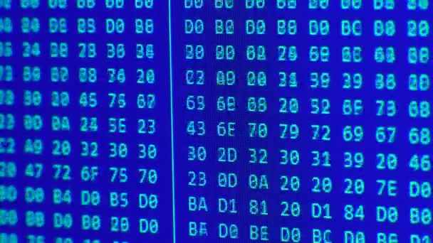 Close up on computer screen binary code on blue background. — Stock Video