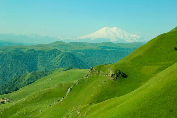 Paisaje Alpino Prados Montañas Nevadas —  Fotos de Stock