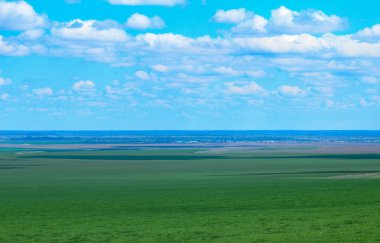 Yeşil çayırlar ve mera.