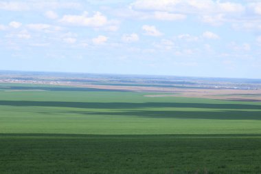 Yeşil çayırlar ve mera.