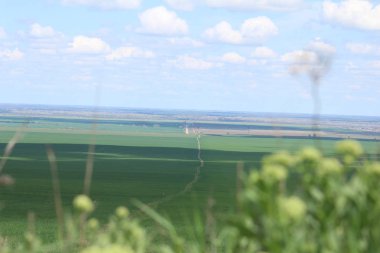 Yeşil çayırlar ve mera.