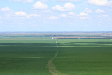 Yeşil çayırlar ve mera.