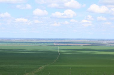 Yeşil çayırlar ve mera.