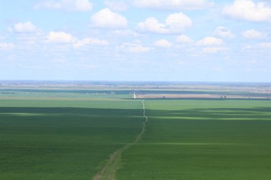 Yeşil çayırlar ve mera.