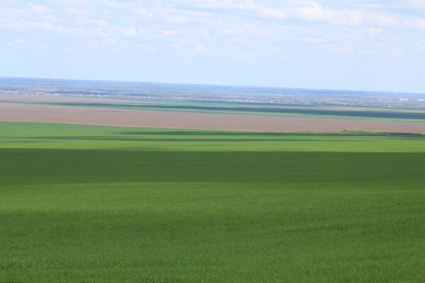 Green meadows and pasture.