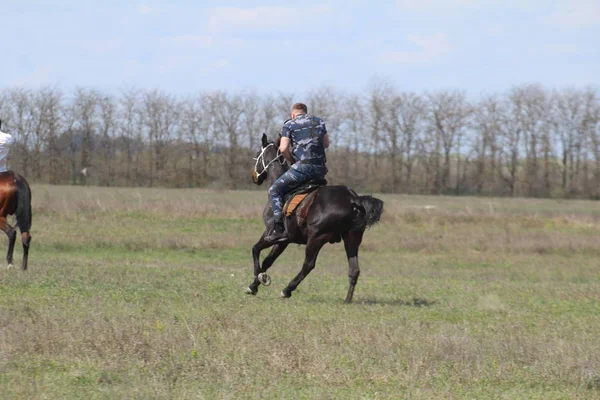 Caballos Carreras Jinetes Ellos — Foto de Stock