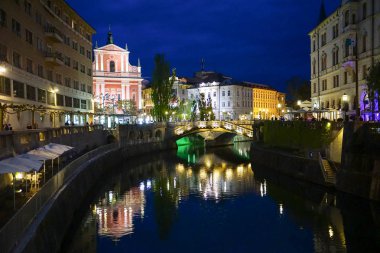 Orman erken ilkbaharda huş ağacı. Dağ Stara Planina, Bulgaristan