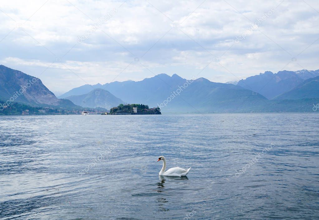                   Look to  the Island of Bella, Lake Maggiore ,Italy             