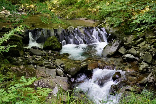 Lugar Salvaje Reserva Djendem Del Norte Encuentra Parque Central Montaña — Foto de Stock