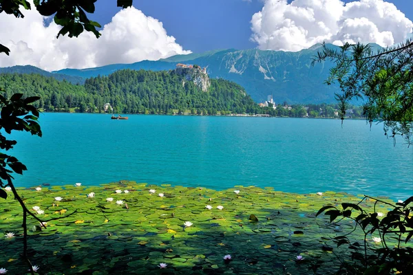 Beautiful Medieval Castle Lake Bled Slovenia — Stock Photo, Image