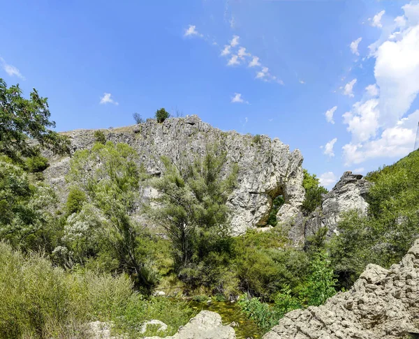 Doğal Kaya Fenomeni Fil Rodop Dağı Bulgaristan — Stok fotoğraf