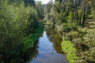   Sonbaharda Iskar nehrine bakın - Bulgaristan 'daki baraj ve göllerden yorulmuş.                             
