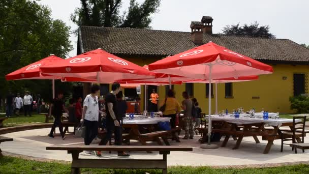 Venaria Piedmont Italy May 2018 People Enjoy Summer Lunch Outdoor — Stock Video