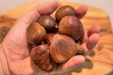 Kestane tam arıyorsunuz ve zengin, oyulmuş ve pişmiş hazır bir avuç beyaz adamın elini tutar.