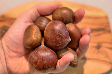 Kestane tam arıyorsunuz ve zengin, oyulmuş ve pişmiş hazır bir avuç beyaz adamın elini tutar.