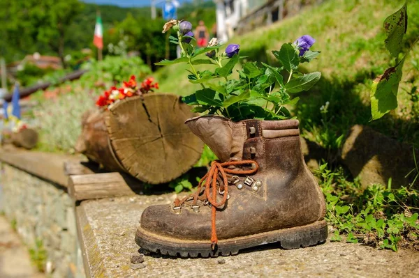 Old Boot Reused Planter New Use Gives New Life Old — Stock Photo, Image