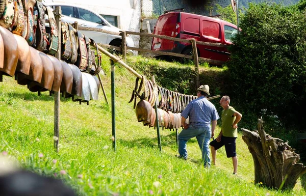 Favella Piémont Italie Juillet 2018 Bottes Bétail Vache Exposées Foire — Photo