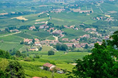 La Morra, Cuneo eyaletinde, Piedmont, İtalya. 15 Temmuz 2018. Langhe topraklarında La Morra alan tipik üzüm bağları üzerinde büyüleyici bir gözcü verir bir tepenin üstüne bir köydür.