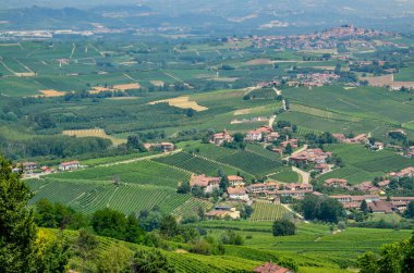 La Morra, Cuneo eyaletinde, Piedmont, İtalya. 15 Temmuz 2018. Langhe topraklarında La Morra alan tipik üzüm bağları üzerinde büyüleyici bir gözcü verir bir tepenin üstüne bir köydür.