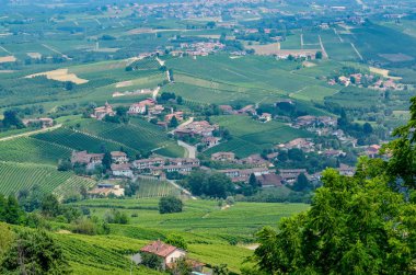 La Morra, Cuneo eyaletinde, Piedmont, İtalya. 15 Temmuz 2018. Langhe topraklarında La Morra alan tipik üzüm bağları üzerinde büyüleyici bir gözcü verir bir tepenin üstüne bir köydür.