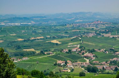 La Morra, Cuneo eyaletinde, Piedmont, İtalya. 15 Temmuz 2018. Langhe topraklarında La Morra alan tipik üzüm bağları üzerinde büyüleyici bir gözcü verir bir tepenin üstüne bir köydür.