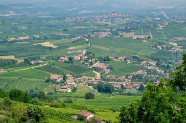 La Morra, Cuneo eyaletinde, Piedmont, İtalya. 15 Temmuz 2018. Langhe topraklarında La Morra alan tipik üzüm bağları üzerinde büyüleyici bir gözcü verir bir tepenin üstüne bir köydür.