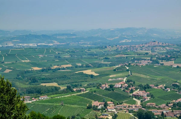Morra Cuneo Eyaletinde Piedmont Talya Temmuz 2018 Langhe Topraklarında Morra — Stok fotoğraf