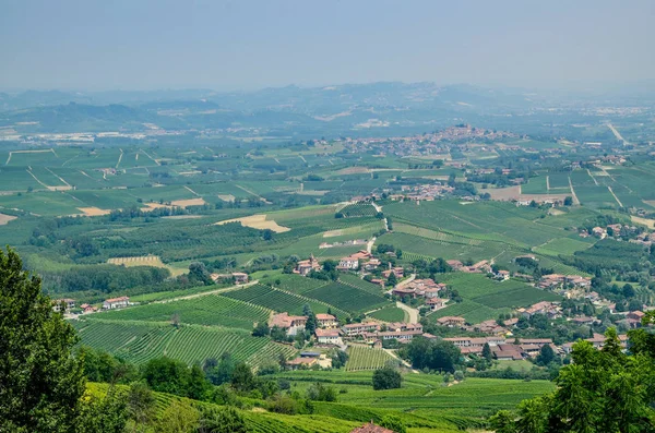 Morra Cuneo Eyaletinde Piedmont Talya Temmuz 2018 Langhe Topraklarında Morra — Stok fotoğraf