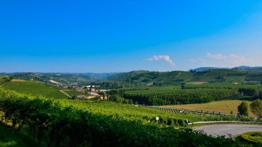 Rinzane Cavour, Piedmont, İtalya. Temmuz 2018. Her yerde cennet üzüm bağları çevrenin manzarasına kalenin dibinde. Bu tesadüf olamaz o Unesco mirası.