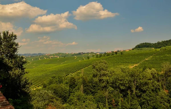 Barolo Piemont Italien Juli 2018 Von Der Burg Aus Hat — Stockfoto