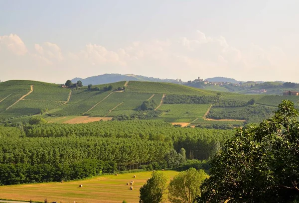Grinzane Cavour Piemont Italien Juli 2018 Fuße Des Schlosses Rundum — Stockfoto