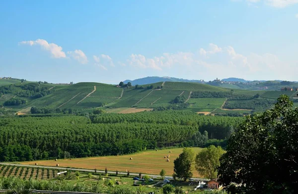 Grinzane Cavour Piemont Italien Juli 2018 Fuße Des Schlosses Rundum — Stockfoto