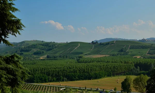 Grinzane Cavour Piemont Italien Juli 2018 Fuße Des Schlosses Rundum — Stockfoto