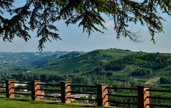 Grinzane Cavour Piemont Italien Juli 2018 Fuße Des Schlosses Rundum — Stockfoto