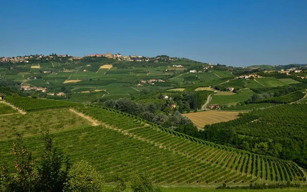 Grinzane Cavour Piemont Italien Juli 2018 Fuße Des Schlosses Rundum — Stockfoto