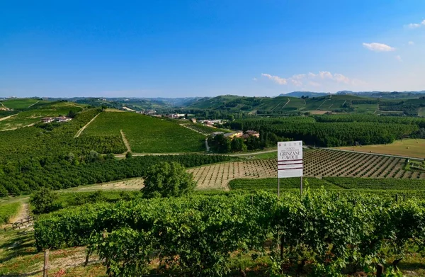 Rinzane Cavour, Piedmont, İtalya. Temmuz 2018. Her yerde cennet üzüm bağları çevrenin manzarasına kalenin dibinde. Bu tesadüf olamaz o Unesco mirası.