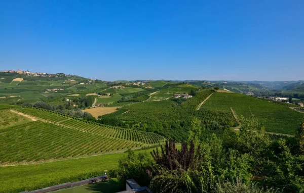 Grinzane Cavour Piemont Italien Juli 2018 Fuße Des Schlosses Rundum — Stockfoto