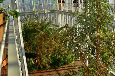 Intesa Sanpaolo banka gökdelenin otuz beşinci kat