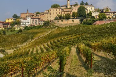 Neive, Piedmont, İtalya. Ekim 2018. 