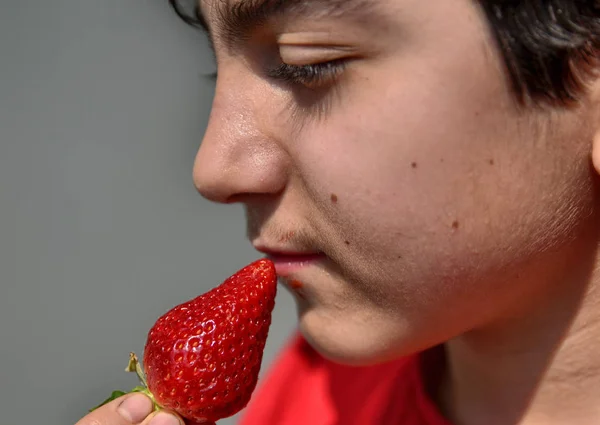 Niño caucásico que está comiendo una fresa —  Fotos de Stock