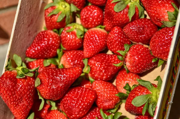 밝은 빨간색 딸기, 배경 흐리게의 전체 과일 상자. — 스톡 사진