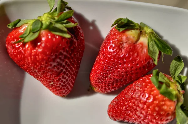 Ein weißer Teller mit leuchtend roten Erdbeeren. — Stockfoto