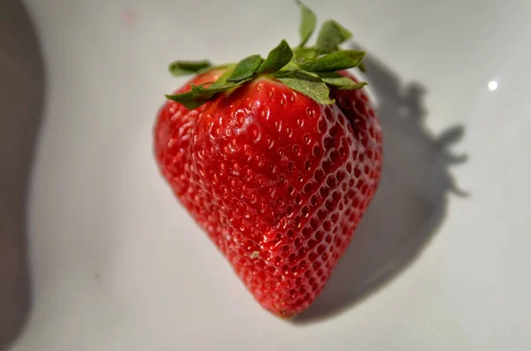 밝은 붉은 딸기 흰 접시. — 스톡 사진