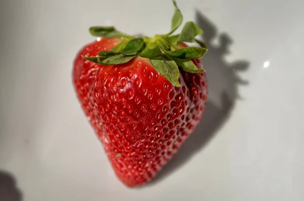 Λευκό πιάτο με φωτεινό κόκκινο φράουλες. — Φωτογραφία Αρχείου