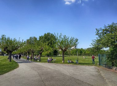 Parkın içinden geçen ağaçlarla çevrili yol rüzgarları