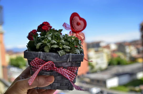 Anneler Günü için küçük ve güzel bir çiçek aranjmanı yakın çekim. Kumaş ve keçe bir kalp yıldönümüan. Vazo gri sepeti, kırmızı çiçekler. Bulanık arka plan.