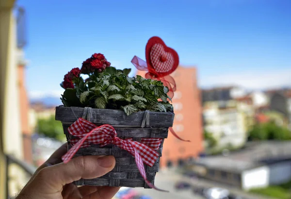 Anneler Günü için küçük ve güzel bir çiçek aranjmanı yakın çekim. Kumaş ve keçe bir kalp yıldönümüan. Vazo gri sepeti, kırmızı çiçekler. Bulanık arka plan.