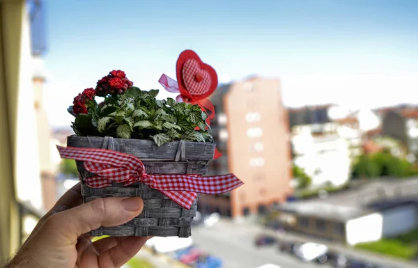 Anneler Günü için küçük ve güzel bir çiçek aranjmanı yakın çekim. Kumaş ve keçe bir kalp yıldönümüan. Vazo gri sepeti, kırmızı çiçekler. Bulanık arka plan.