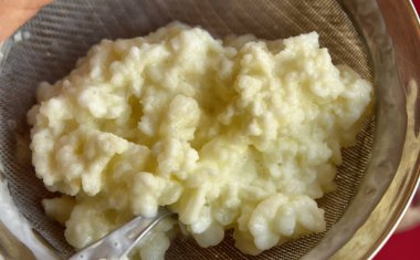 Kefir granülünün yakın çekim görüntüsü